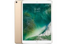 Ipad Pro 256GB ( 1709 )