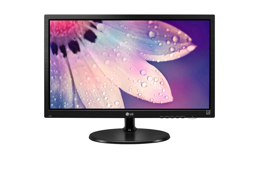 Monitor 19" LG