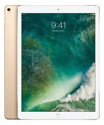 Ipad Pro 64GB 8 ( 1901 )