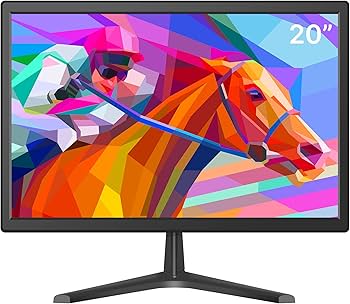 Monitor 20" Env 1080P Full HD