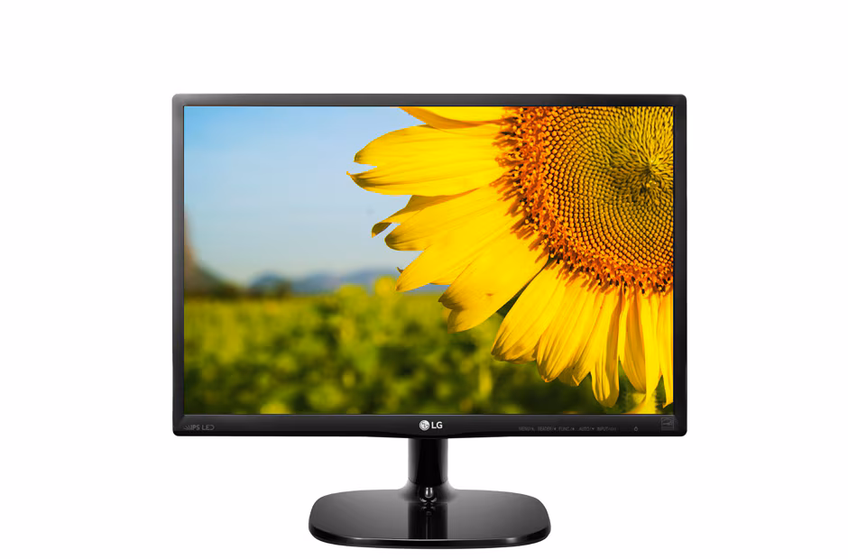 Monitor 22" LG