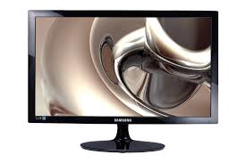 Monitor 19" LED Samsung LS19D300NY